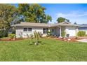 Charming single-story home with a well-manicured lawn and beautiful landscaping at 1489 Dundee Dr, Palm Harbor, FL 34684