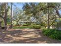Expansive front yard with mature trees shading a single-story home, creating a tranquil and inviting setting at 2660 Powell Ln, Tarpon Springs, FL 34688