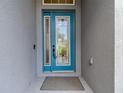 Inviting front door with decorative glass and blue trim, enhancing curb appeal at 6527 Mayport Dr, Apollo Beach, FL 33572