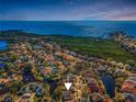 Stunning aerial view of a waterfront home, showcasing lush greenery and panoramic views of the intercoastal waters at 1010 Blue Heron Way, Tarpon Springs, FL 34689