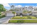 Charming single-story home with a well-manicured lawn and mature palm trees at 230 Lotus Dr, Safety Harbor, FL 34695