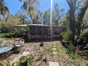 View of backyard with patio area and foliage in surrounding landscape at 30424 Orange Grove Ln, Wesley Chapel, FL 33544