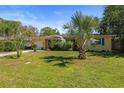 Inviting yellow home with landscaped front yard showcasing a beautiful palm tree at 419 Richards Ave, Clearwater, FL 33755