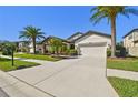 Charming single-Gathering home featuring a manicured lawn, two-car garage, and tropical landscaping at 8307 Bluevine Sky Dr, Land O Lakes, FL 34637