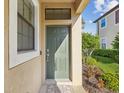 Inviting front entryway with a welcome mat and manicured landscaping at 11641 Crowned Sparrow Ln, Tampa, FL 33626