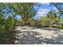 Charming home featuring a cozy backyard with pea gravel, string lights, mature trees, and a shed at 1588 S Prospect Ave, Clearwater, FL 33756