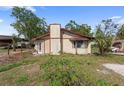 Shows the exterior with a yard, trees, and a chimney at 4020 Amber Rd, Valrico, FL 33594