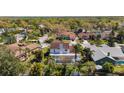 Residential neighborhood aerial view featuring mature trees and private homes with lush landscaping at 15703 Jericho Dr, Odessa, FL 33556