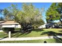 Expansive front yard with mature trees, providing shade and enhancing the property's curb appeal at 4078 Salem Square Pkwy, Palm Harbor, FL 34685