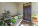 Inviting front porch with comfortable seating and charming decor, creating a welcoming entrance at 30753 Penny Surf Loop, Wesley Chapel, FL 33545