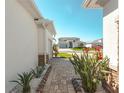 Brick-paved walkway leads to the front entrance, bordered by decorative stone and plants at 8261 Ivy Stark Blvd, Wesley Chapel, FL 33545