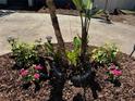 Close-up of the landscaped yard with vibrant flowers, mulch, decorative stones, and landscape lighting at 1368 Noell Blvd, Palm Harbor, FL 34683