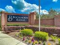 Buckhorn Ridge community entrance sign featuring brick construction and lush landscaping at 4426 Brandon Ridge Dr, Valrico, FL 33594