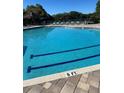Large community swimming pool with a 5 FT depth marker and ample seating at 5553 Baywater Dr, Tampa, FL 33615