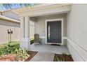 Inviting front porch with a chair, providing a relaxing spot by the front door at 7233 Lumber Port Dr, Ruskin, FL 33573