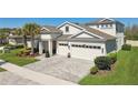 Aerial view of home showcasing paved driveway, lush lawn and garden with a three-car garage at 8766 Shadyside Ln, Land O Lakes, FL 34637