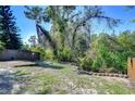 The backyard features a small grass patch and greenery at 2542 Clareside Dr, Valrico, FL 33596