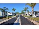 Scenic street view showcasing a community lined with palm trees and well-kept single-story homes at 7 Drury Ln, Tarpon Springs, FL 34689