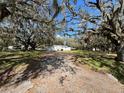 View of the house and expansive yard, shaded by mature trees at 1502 S Wiggins Rd, Plant City, FL 33566