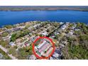 Serene aerial view of a charming home with a pool, nestled among lush greenery, and waterfront access at 3105 S Canal Dr, Palm Harbor, FL 34684