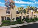 Beautiful townhome exterior with mature palm trees and lush, green landscaping at 5100 Burchette Rd # 3403, Tampa, FL 33647