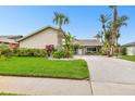 Attractive single-story home with tropical landscaping, white rock accents, and an inviting front lawn at 6109 Schooner Way, Tampa, FL 33615