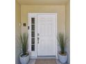 Elegant front door with glass accents and decorative potted plants creating a welcoming entrance at 156 117Th Ave, Treasure Island, FL 33706