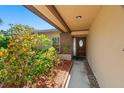 Inviting front entrance with a decorative wooden door and well-maintained landscaping at 1629 Brook Dr, Dunedin, FL 34698