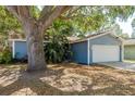 Landscaped front of the home with a mature shade tree and blue exterior paint at 1721 Sutton Pl, Dunedin, FL 34698
