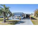 Attractive single-story home showcasing mature palm tree and painted driveway at 37235 Cora Ave, Zephyrhills, FL 33542
