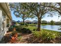 Picturesque backyard with lush greenery and mature trees bordering a serene lake at 412 Pinewood Dr, Oldsmar, FL 34677