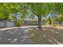 Well-manicured single story home with ample parking, framed by a large shade tree at 3822 W Euclid Ave, Tampa, FL 33629