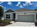 Charming single-story home featuring a two-car garage and a beautifully landscaped front yard at 10636 Crescent Creek Xing, Parrish, FL 34219