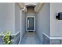 Inviting entryway features a stylish front door and modern architectural details at 33298 Major Oak Dr, Wesley Chapel, FL 33545
