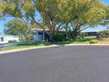 Charming home with mature landscaping at 46 Washington Ct # 28, Palm Harbor, FL 34684