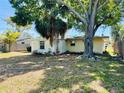 View of backyard with trees and landscaping at 619 41St Ne Ave, St Petersburg, FL 33703