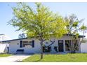 Inviting single-story house with manicured lawn, complemented by a mature tree offering shade and beauty at 4402 Ohio Ave, Tampa, FL 33616