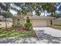 Inviting single-story house with a lush green lawn and attached two-car garage at 4515 Fieldview Cir, Wesley Chapel, FL 33545