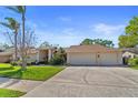 Attractive single-story home boasting a lush green lawn, mature palm trees, and a spacious driveway with a two car garage at 3442 Beech Trl, Clearwater, FL 33761