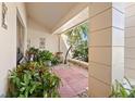 Cozy front porch adorned with lush plants and greenery, creating a welcoming outdoor seating area at 3442 Beech Trl, Clearwater, FL 33761
