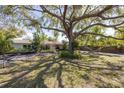 Spacious front yard featuring mature trees, lush lawn, and a white single-story home at 1433 Park N St, St Petersburg, FL 33710