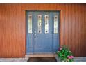 A blue glass front door set into a dark wood plank exterior, complete with a welcome mat at 18846 Tracer Dr, Lutz, FL 33549