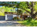 Well-maintained single-story home featuring a landscaped front yard and two-car garage at 18846 Tracer Dr, Lutz, FL 33549