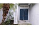 Close up of the entrance showing double front doors and adjacent landscaping at 2105 Haydon Ct, Brandon, FL 33511