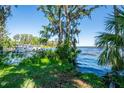 Picturesque waterfront view with dock and lush vegetation creating a serene setting at 3346 Gorse Ct, Palm Harbor, FL 34684