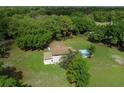 Bird's-eye view of the home featuring its in-ground pool and surrounded by lush trees at 4902 Five Acre Rd, Plant City, FL 33565