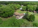 Expansive aerial shot showcasing the property's layout, surrounding greenery, and swimming pool at 4902 Five Acre Rd, Plant City, FL 33565