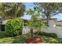 Landscaped single-story home featuring mature trees, green grass, and a stucco perimeter wall at 1651 Summit Way, Dunedin, FL 34698