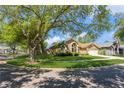 Landscaped home exterior with mature trees and well-maintained lawn on a sunny day at 3627 Cypress Meadows Rd, Tampa, FL 33624