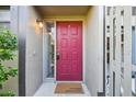 Inviting entryway with a vibrant door, sidelight, and welcoming door mat at 440 Woods Landing Trl, Oldsmar, FL 34677